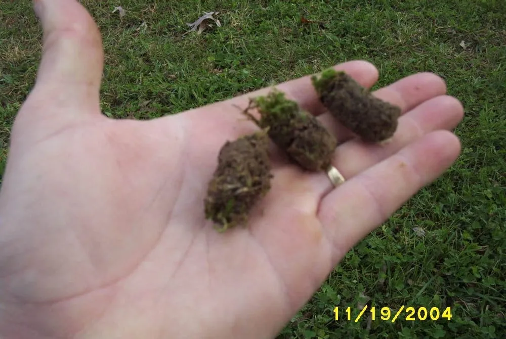 Trusted garden landscaping in Youngsville, NC - Total Lawn Care By Bryant