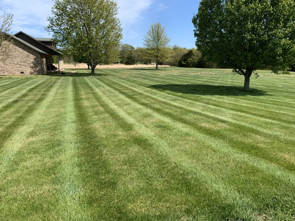 Custom yard cleanup service for outdoor upgrades in Fayetteville, AR by Total Lawn Care