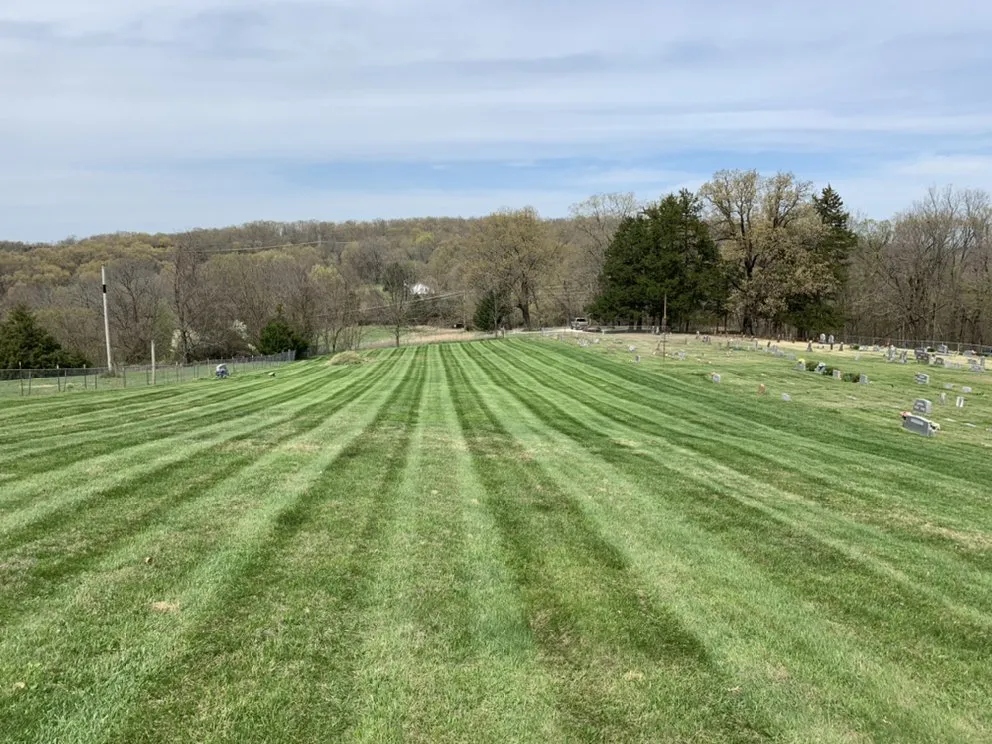 Expert yard maintenance for year-round maintenance in Fayetteville, AR by Total Lawn Care