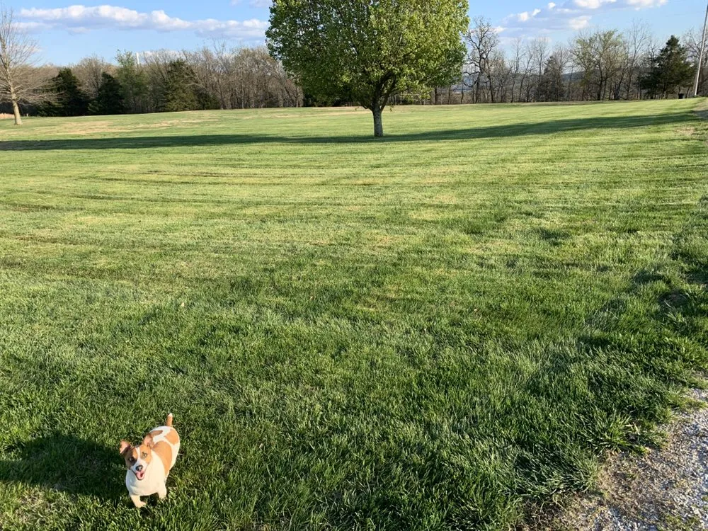 Top-rated yard maintenance in Fayetteville, AR by Total Lawn Care