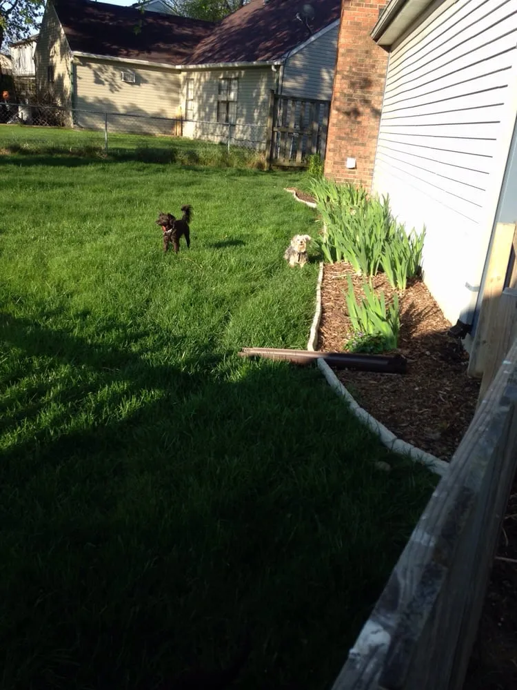 Reliable landscape installation for year-round maintenance in Indianapolis, IN by Total Lawn Care