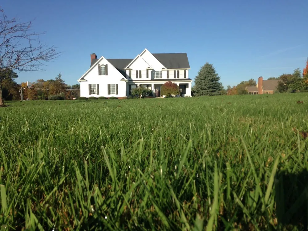 Custom yard maintenance with custom design in Indianapolis, IN by Total Lawn Care