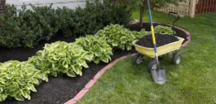 Expert lawn mowing service in Leicester, NC by Total Lawn Care