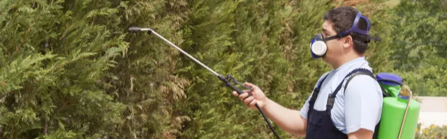 Trusted lawn mowing service for beautiful yards in Leicester, NC by Total Lawn Care
