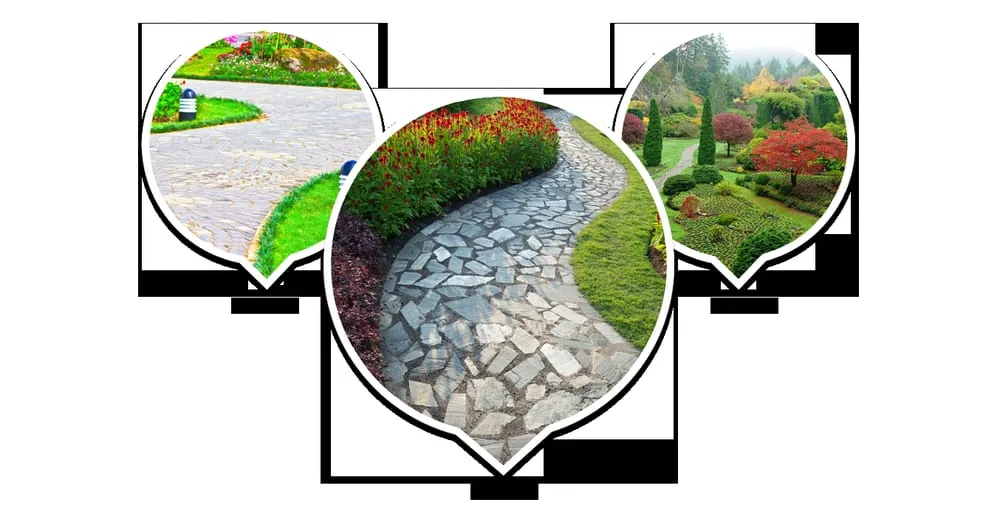 Top-rated yard cleanup service for outdoor upgrades across Leicester, NC - Total Lawn Care