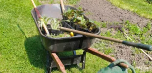 Affordable yard maintenance for beautiful yards in Leicester, NC by Total Lawn Care