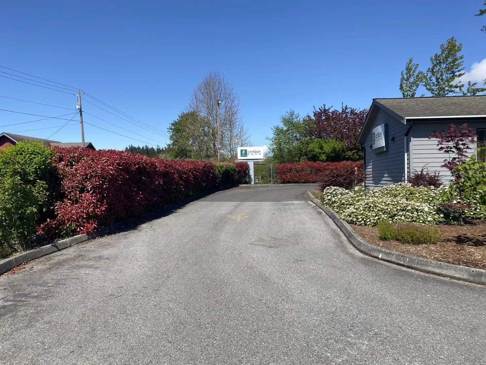 Custom outdoor landscaping experts serving Point Roberts, WA - Total Lawn Care