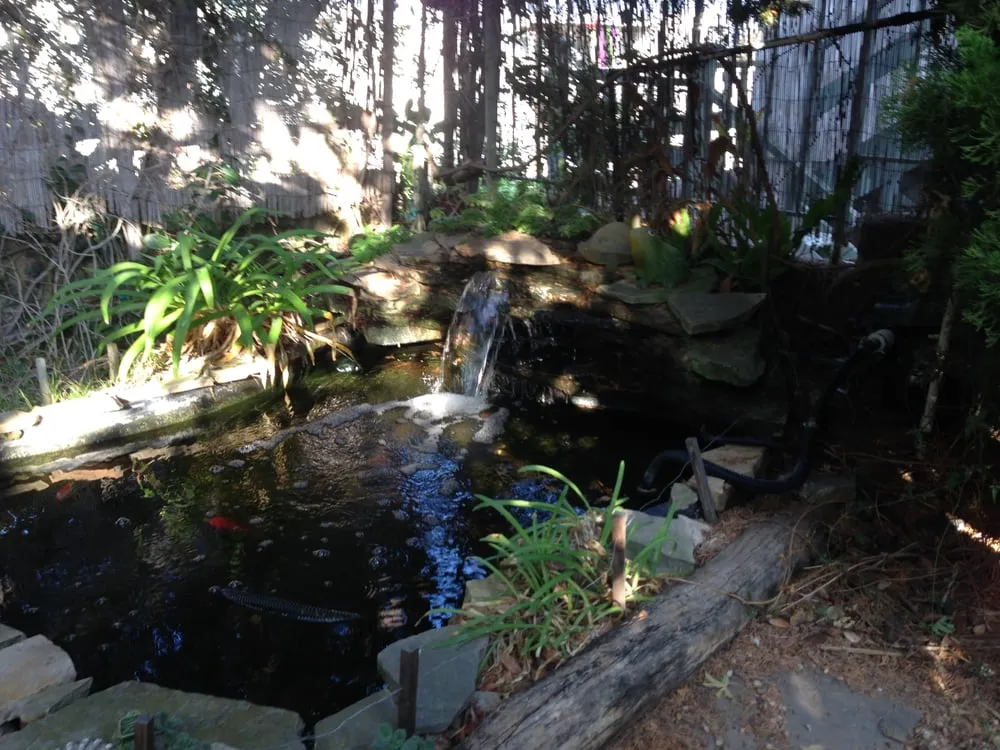 Expert yard maintenance in Point Roberts, WA - Total Lawn Care