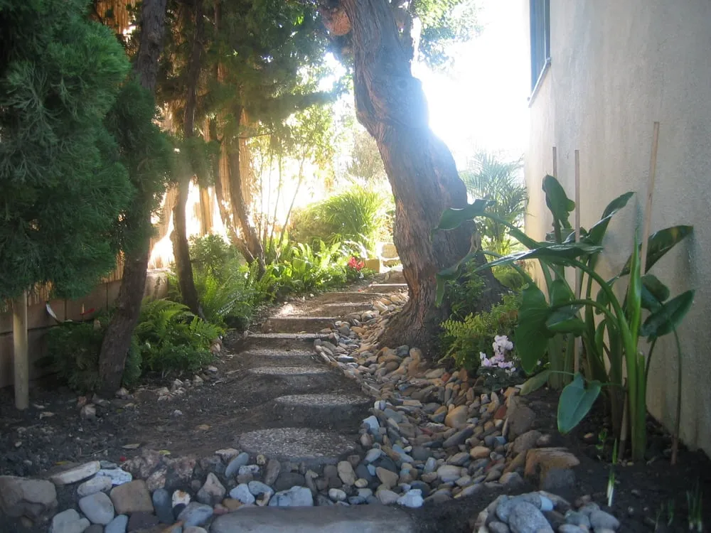 Affordable lawn mowing service experts serving Point Roberts, WA - Total Lawn Care