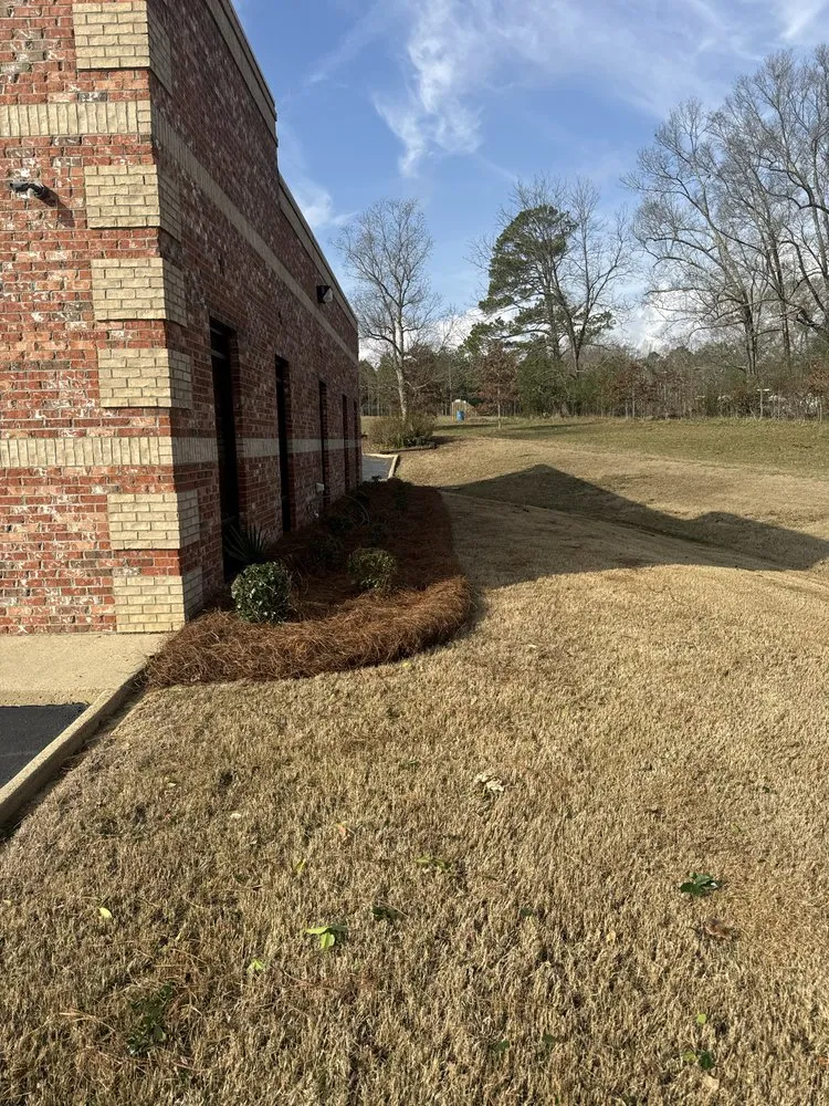 Trusted lawn care service with custom design across Raymond, MS - Total Lawn Care