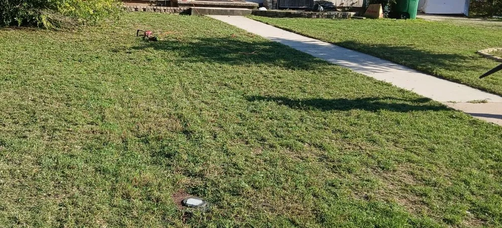 Local lawn care service near you across San Angelo, TX - Total Lawn Care