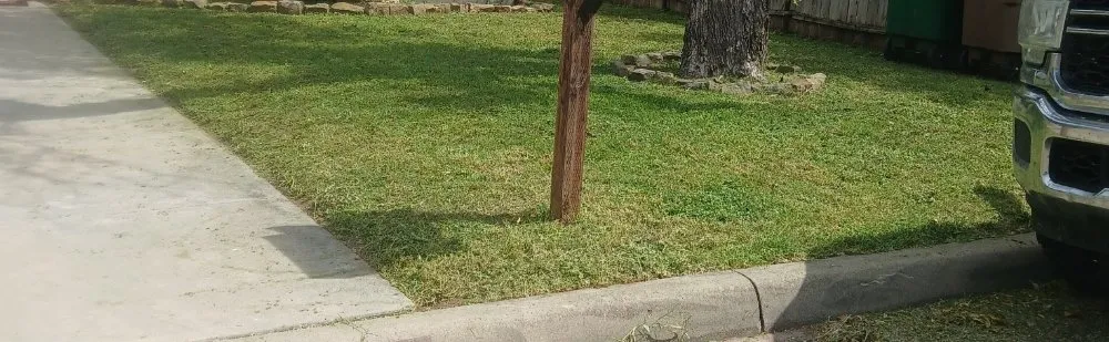 Expert landscaping services experts serving San Angelo, TX - Total Lawn Care