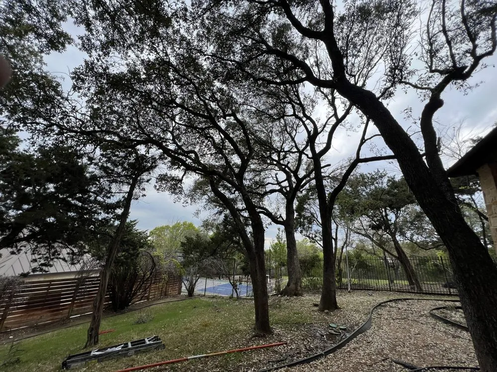 Top-rated outdoor landscaping in San Marcos, TX - Total Lawn Care