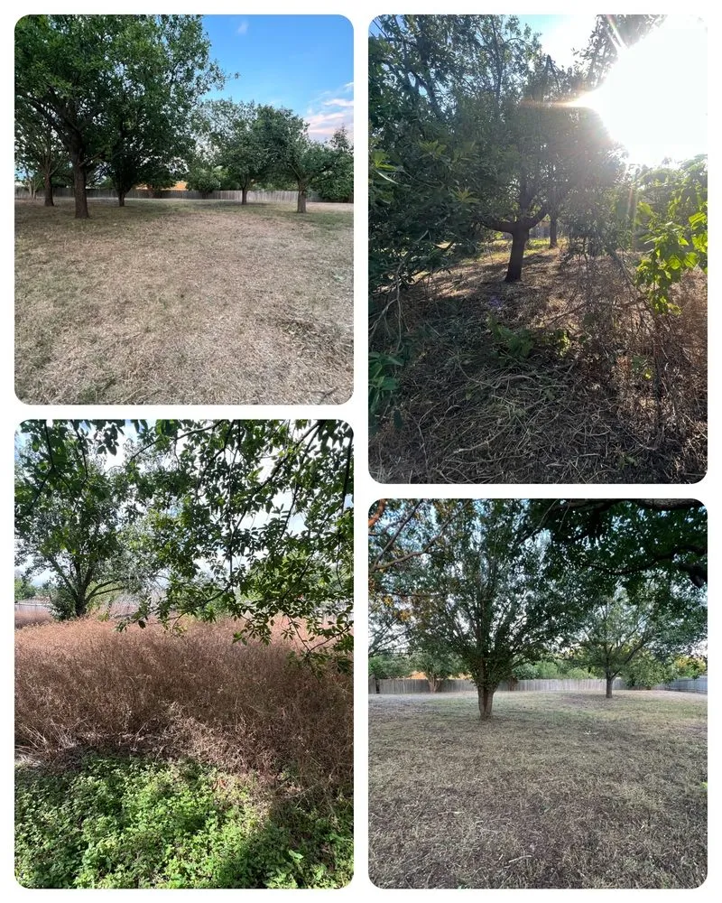 Reliable residential landscaping for residential properties across San Marcos, TX - Total Lawn Care