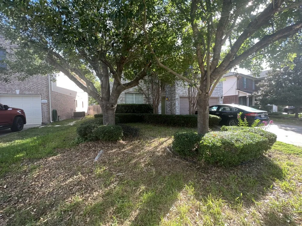 Professional garden landscaping with custom design in San Marcos, TX by Total Lawn Care