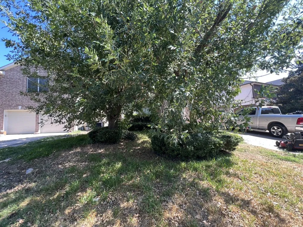 Reliable garden landscaping in San Marcos, TX by Total Lawn Care