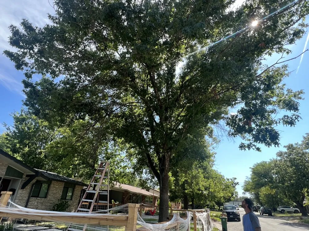 Top-rated landscape design in San Marcos, TX by Total Lawn Care