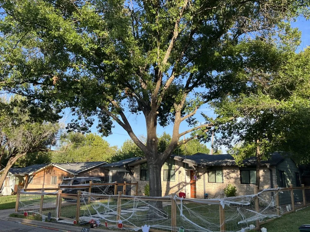 Affordable landscaping services for beautiful yards in San Marcos, TX by Total Lawn Care