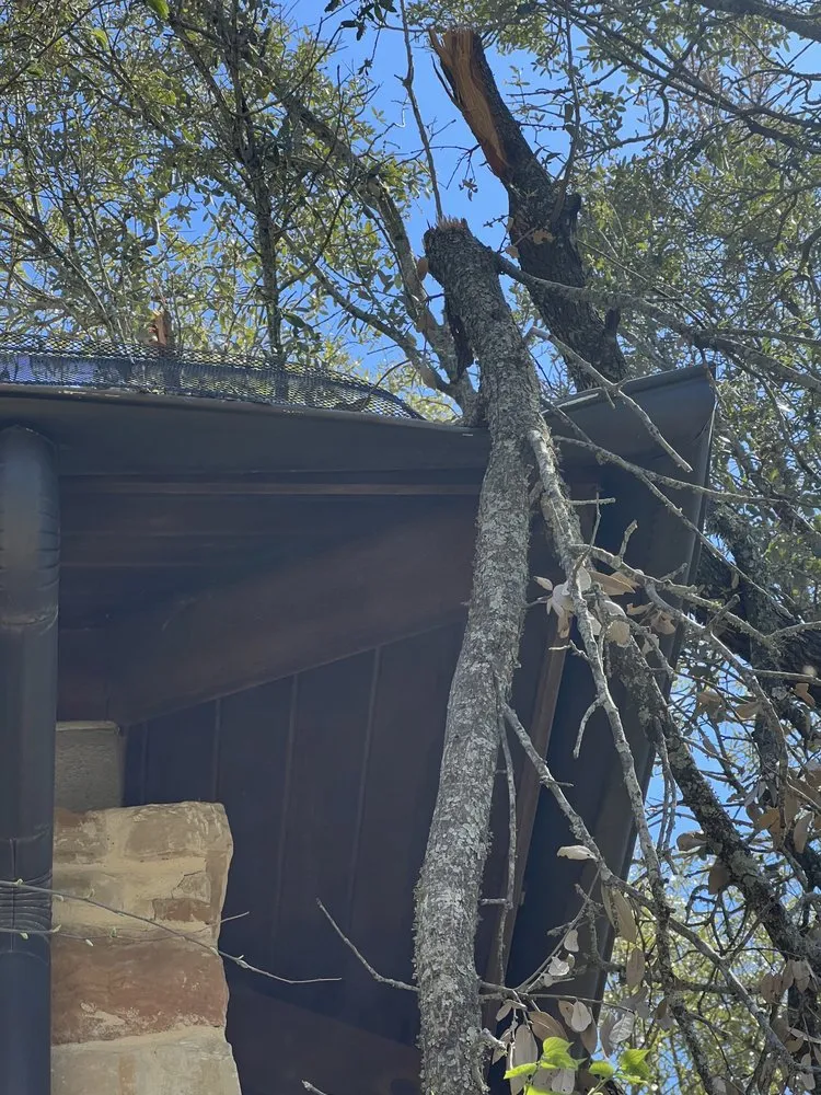 Reliable yard cleanup service for beautiful yards across San Marcos, TX - Total Lawn Care