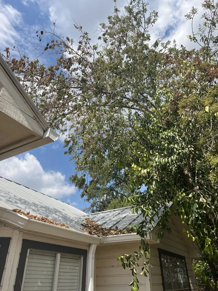 Top-rated landscape design in San Marcos, TX by Total Lawn Care