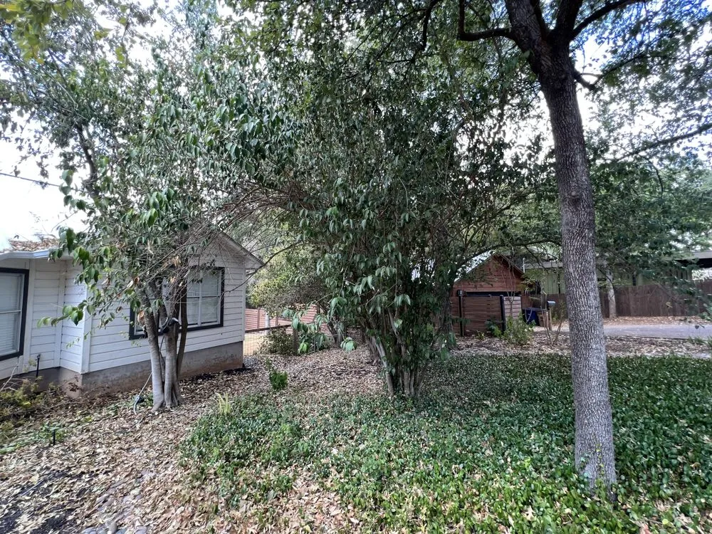 Affordable yard maintenance for residential properties in San Marcos, TX by Total Lawn Care