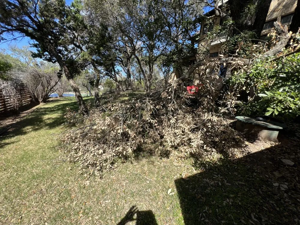 Expert lawn mowing service for year-round maintenance in San Marcos, TX by Total Lawn Care