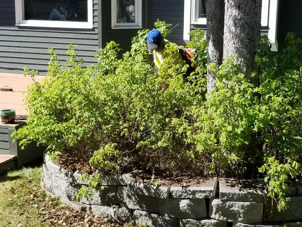 Custom garden landscaping in Anchorage, AK by Total Lawn Care Service