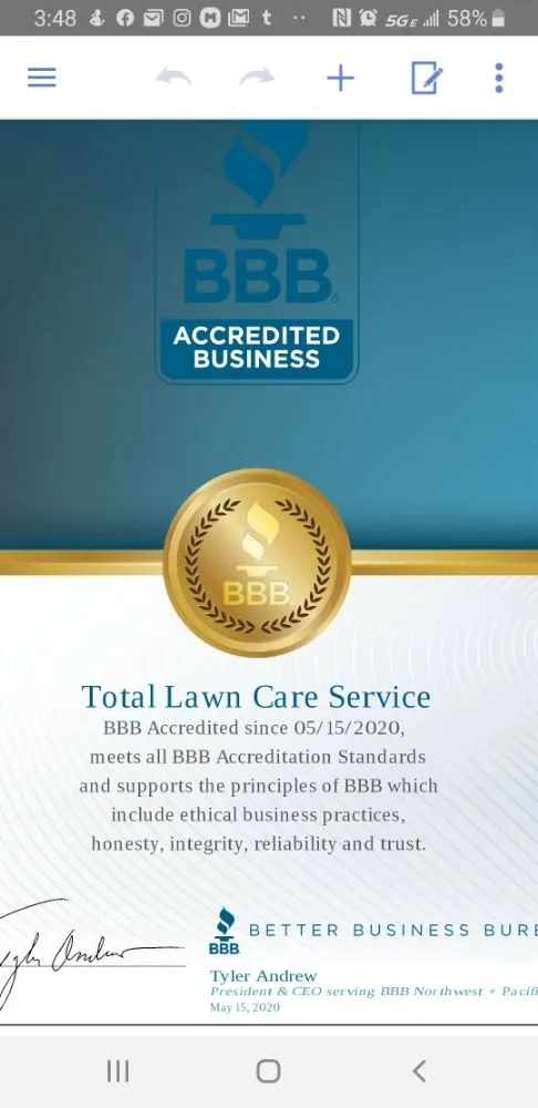 Professional yard cleanup service for outdoor upgrades in Anchorage, AK by Total Lawn Care Service