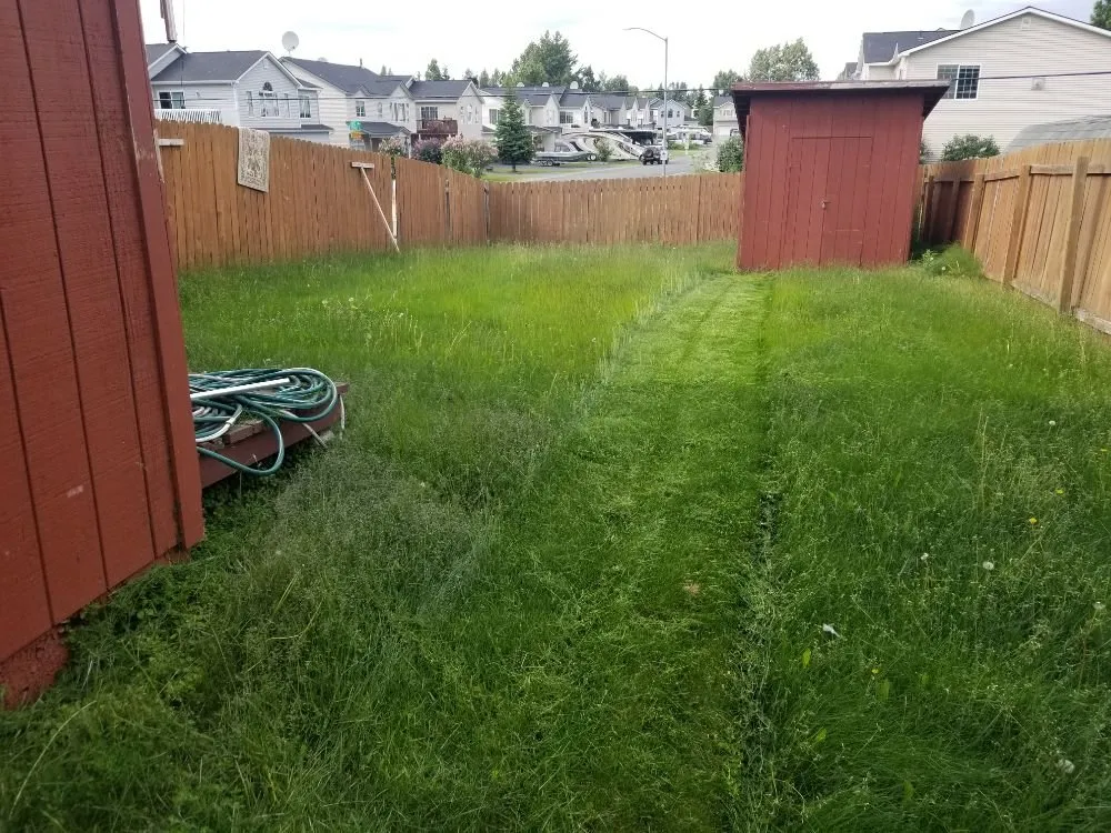 Local outdoor landscaping in Anchorage, AK - Total Lawn Care Service