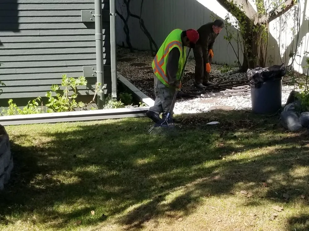 Professional yard maintenance in Anchorage, AK - Total Lawn Care Service