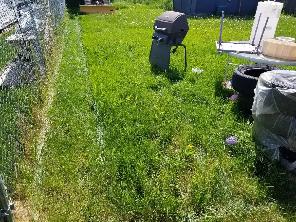 Custom landscape design near you in Anchorage, AK by Total Lawn Care Service