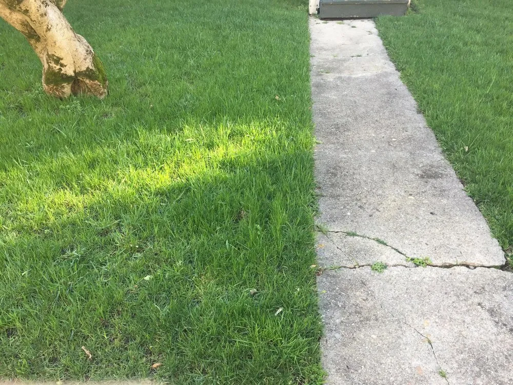 Affordable residential landscaping for homes in Richmond, VA by Total Lawn Care Service