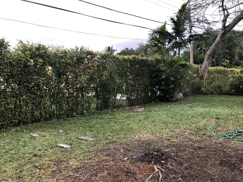 Top-rated residential landscaping in Miami, FL - Total Lawn Care Solutions