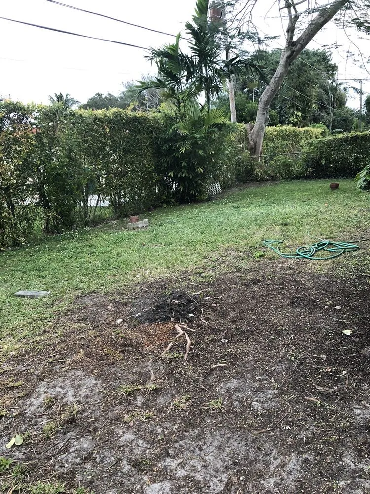 Affordable lawn care service experts serving Miami, FL - Total Lawn Care Solutions