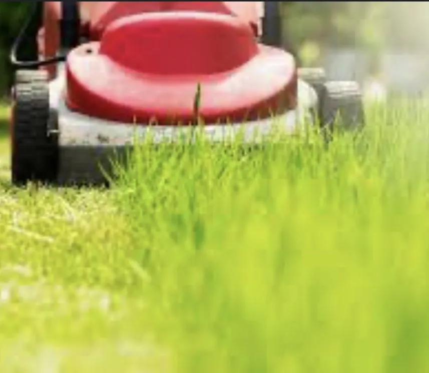 Expert garden landscaping in Midland, MI - Total Lawn Care Solutions