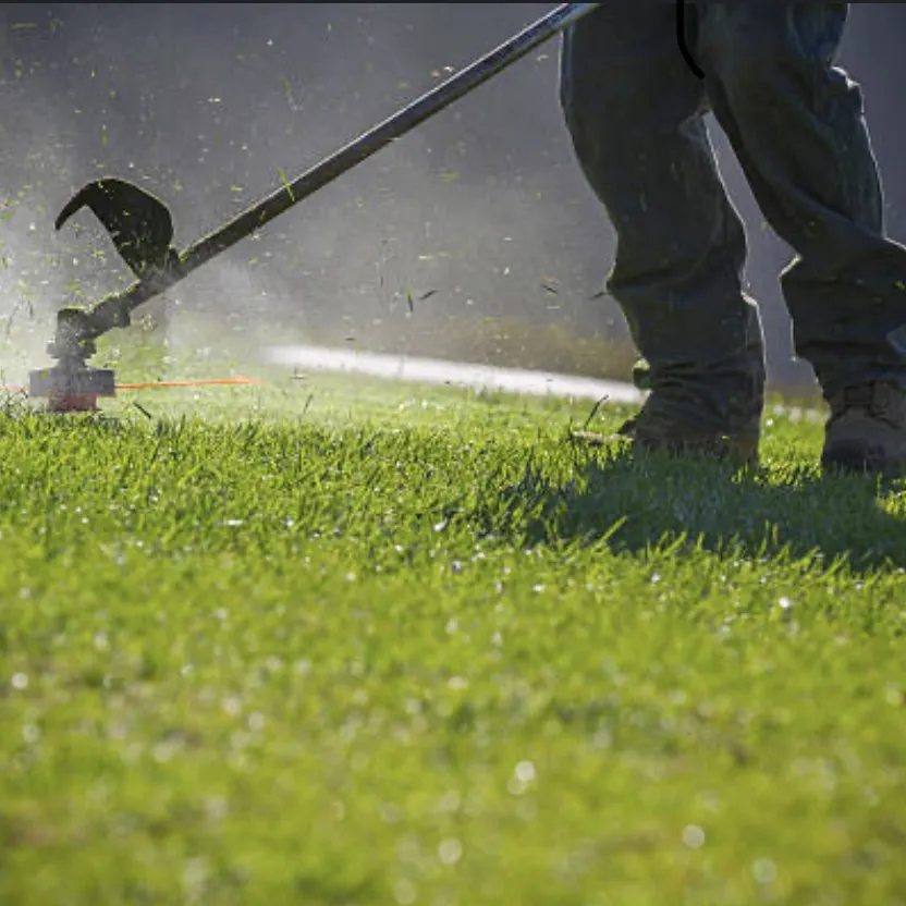 Reliable garden landscaping for year-round maintenance across Midland, MI - Total Lawn Care Solutions