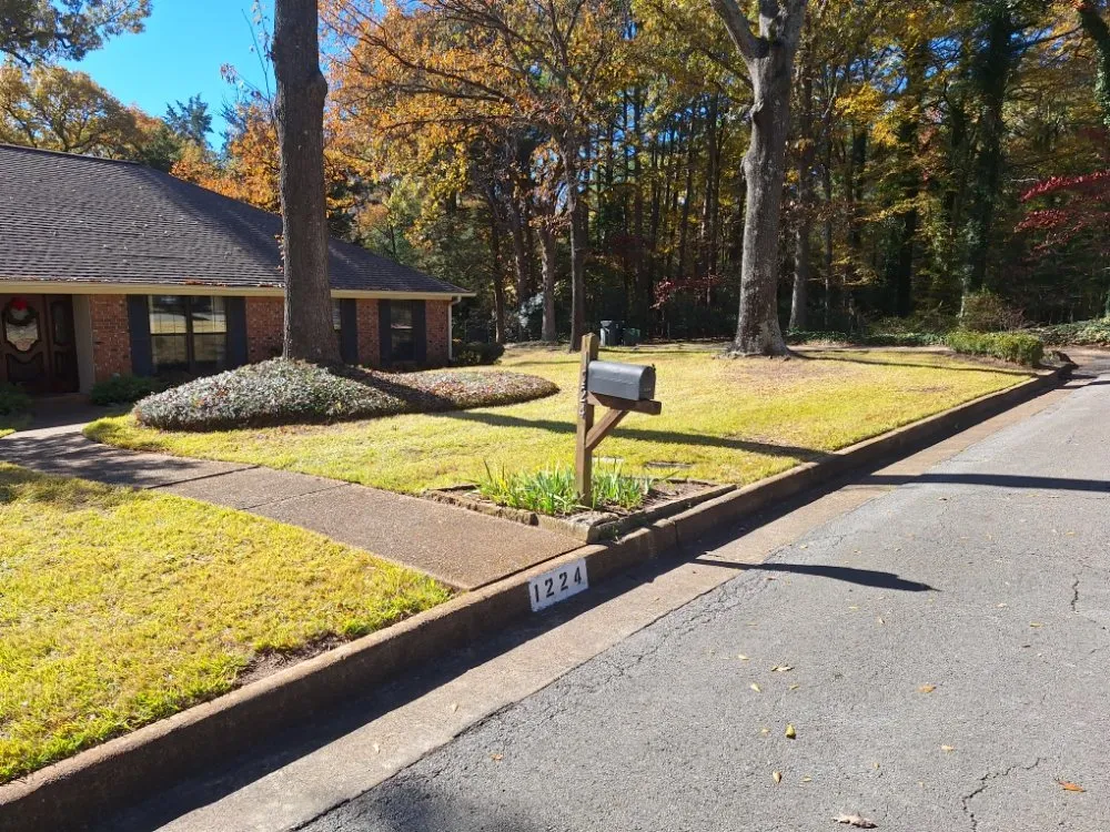 Trusted landscape design for outdoor upgrades across Tyler, TX - Total Lawn Care