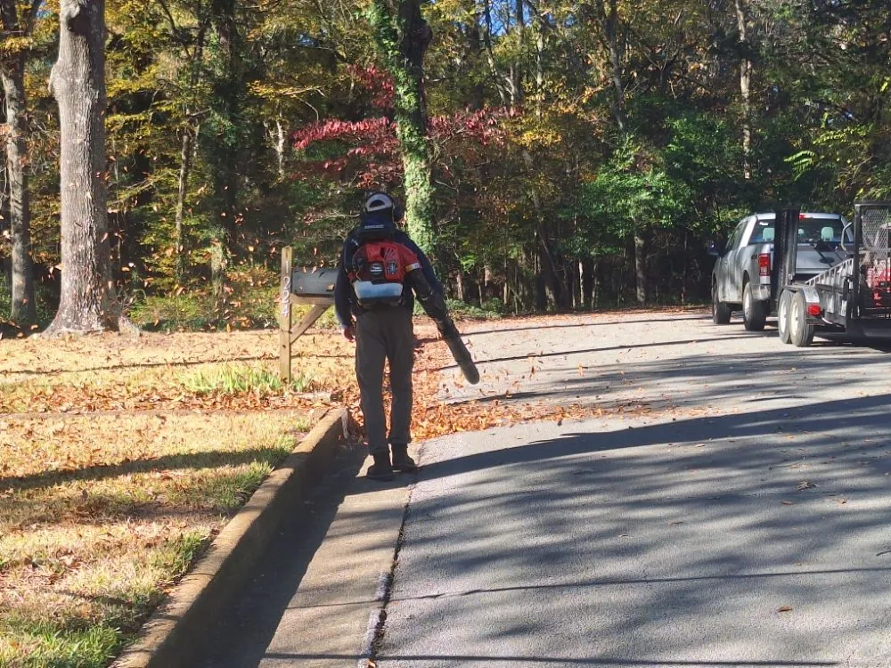 Professional landscape design for year-round maintenance across Tyler, TX - Total Lawn Care