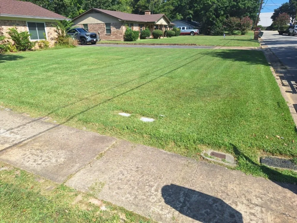 Affordable yard cleanup service experts serving Tyler, TX - Total Lawn Care