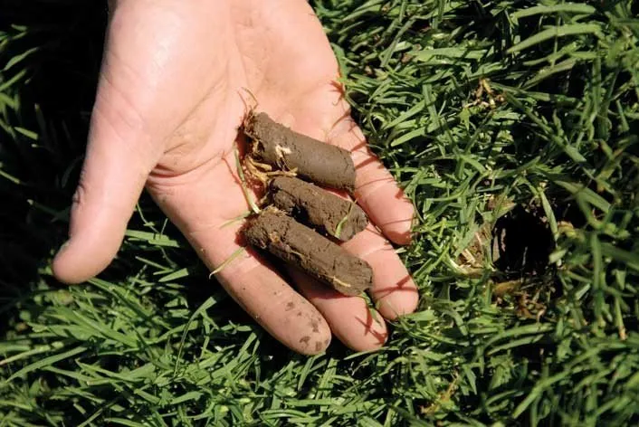 Trusted yard maintenance for homes in Westerville, OH by Total Lawn Care