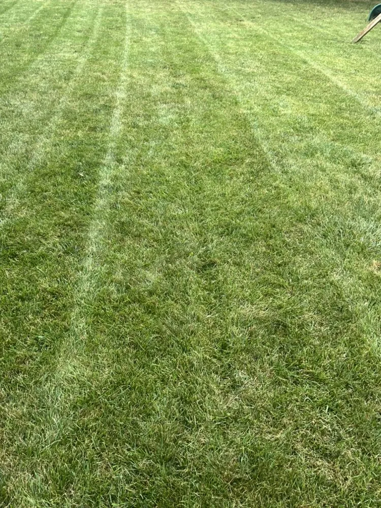 Professional outdoor landscaping near you across Westerville, OH - Total Lawn Care