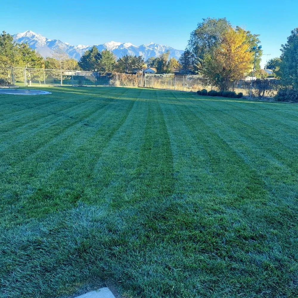 Local lawn mowing service for year-round maintenance in Woods Cross, UT by Total Lawn Care