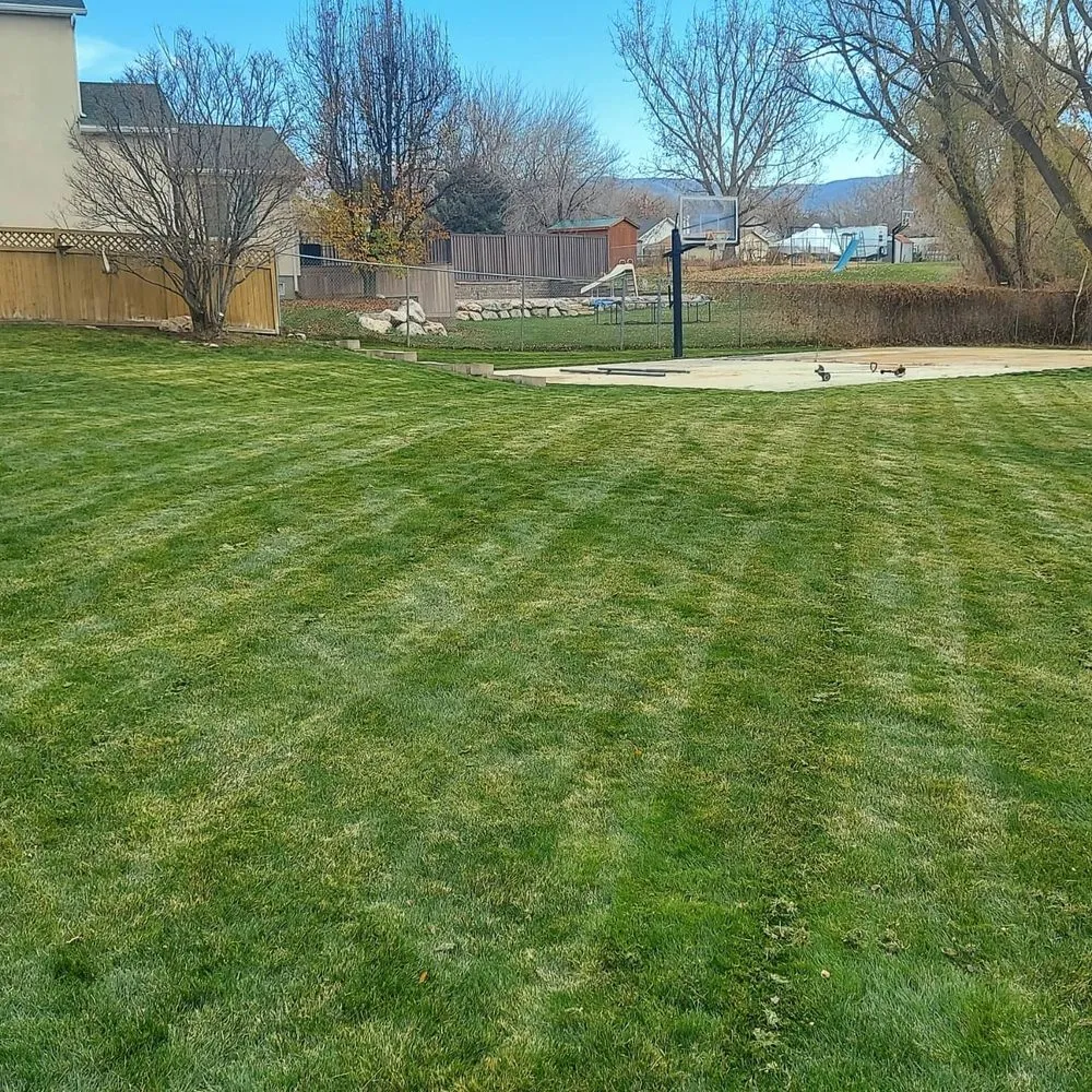 Top-rated lawn mowing service in Woods Cross, UT - Total Lawn Care