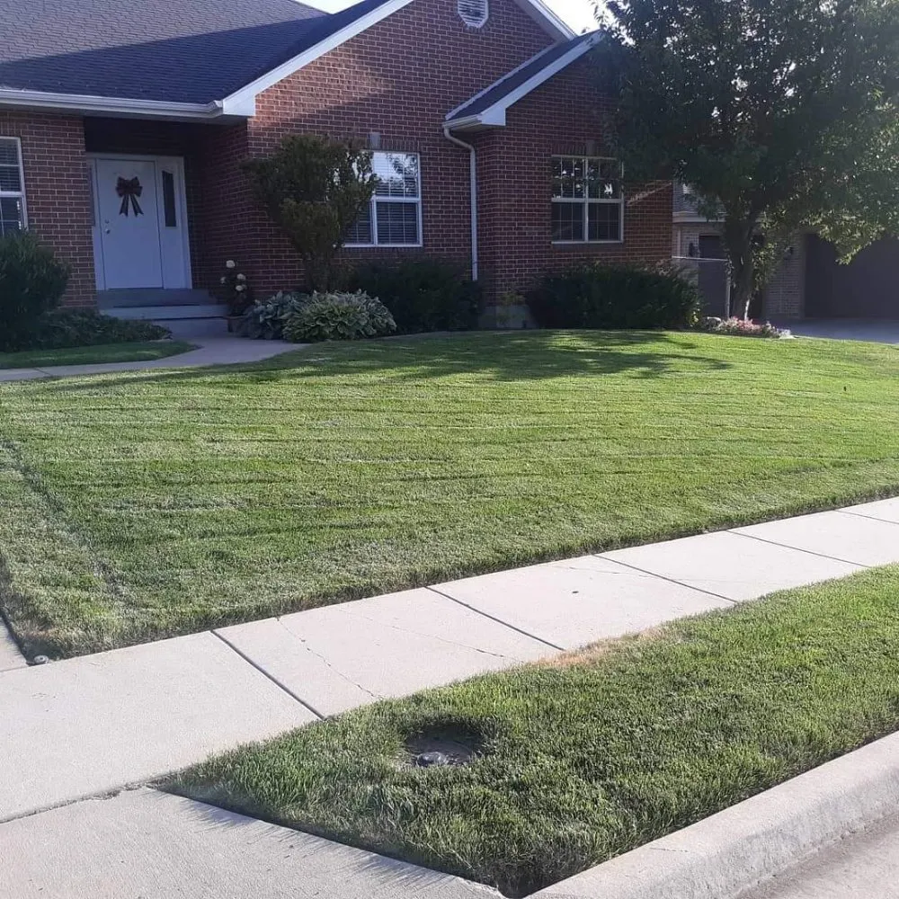 Affordable landscape installation experts serving Woods Cross, UT - Total Lawn Care