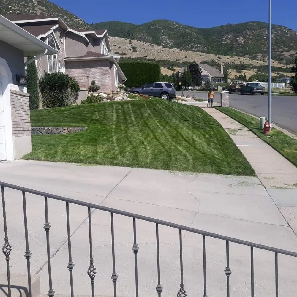 Local yard maintenance experts serving Woods Cross, UT - Total Lawn Care