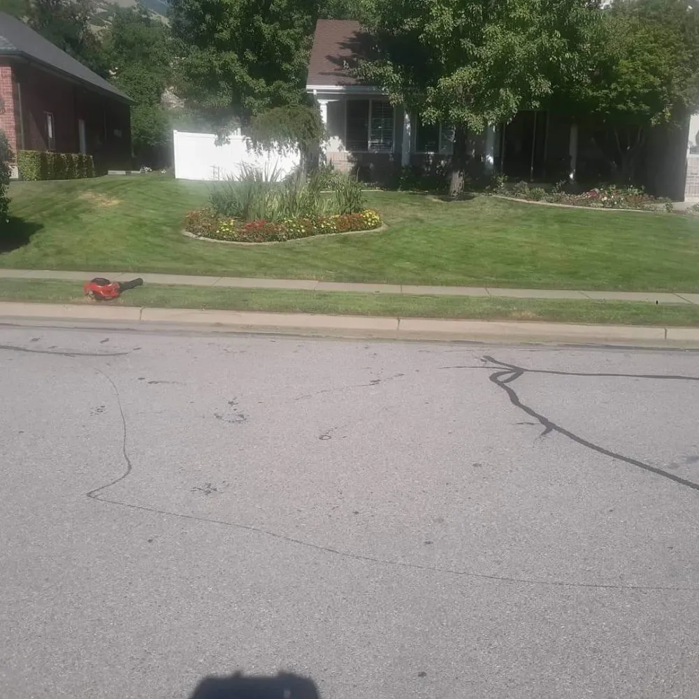 Local yard cleanup service in Woods Cross, UT - Total Lawn Care