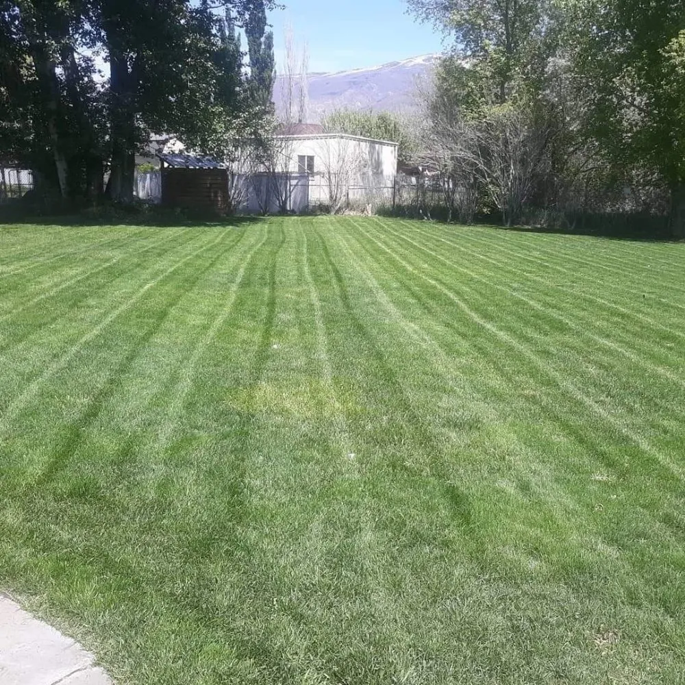 Expert yard maintenance for residential properties in Woods Cross, UT by Total Lawn Care