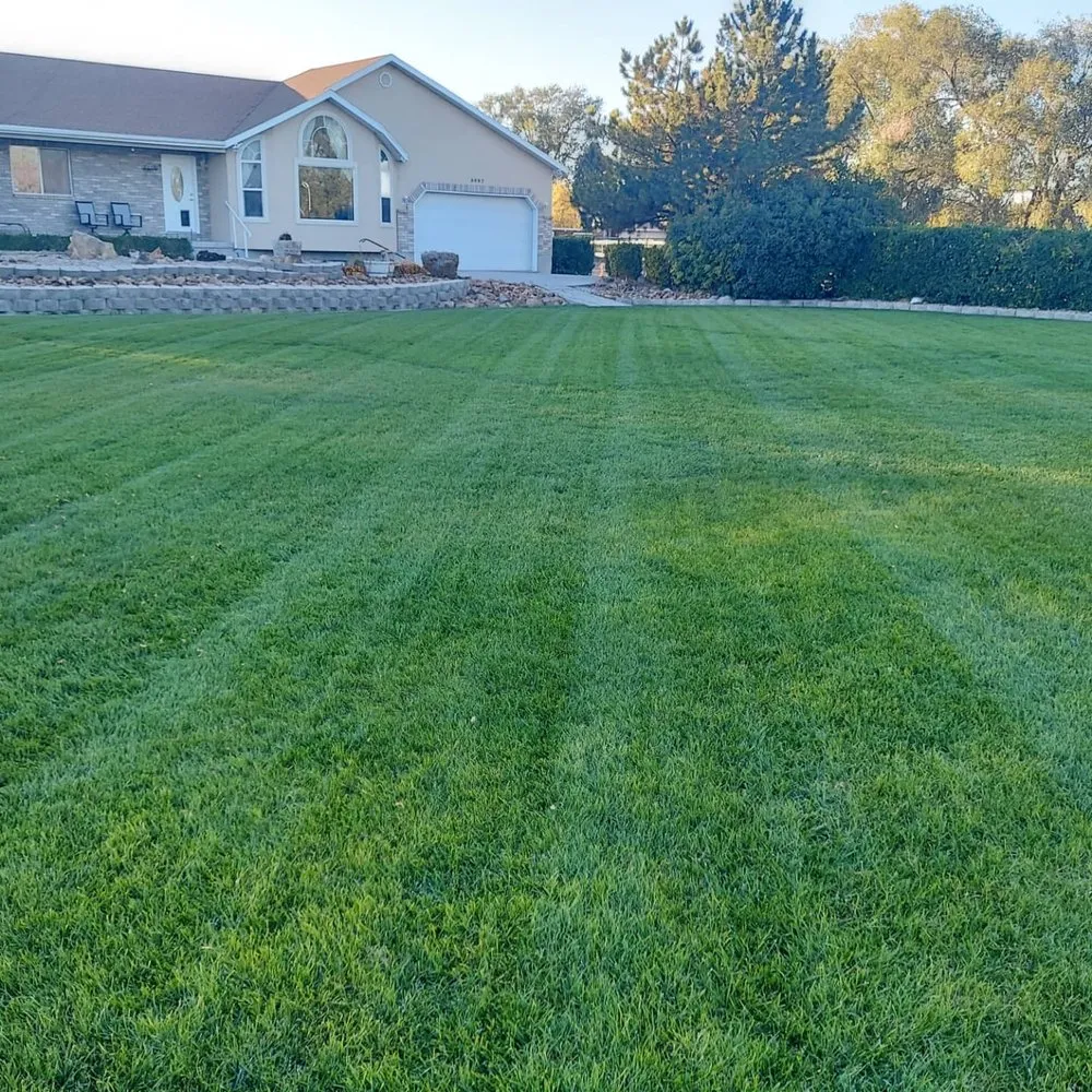 Local outdoor landscaping experts serving Woods Cross, UT - Total Lawn Care