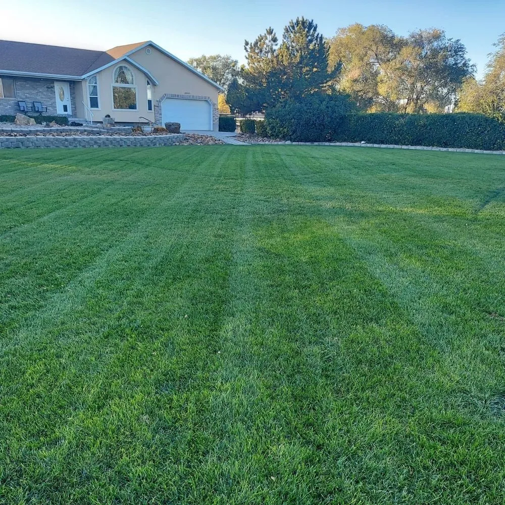 Custom yard cleanup service experts serving Woods Cross, UT - Total Lawn Care