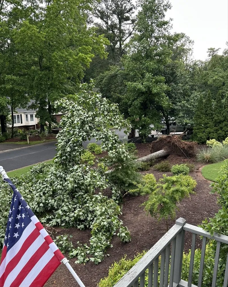 Affordable yard cleanup service experts serving Marietta, GA - Total Lawn